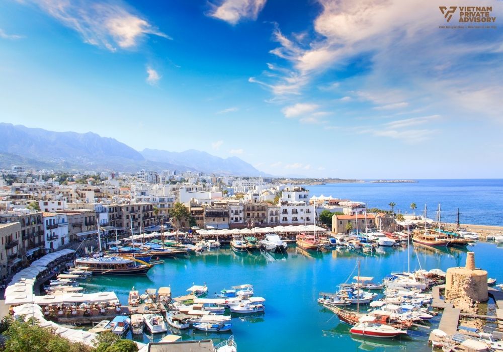 dao-sip-vietnam-private-advisory-023